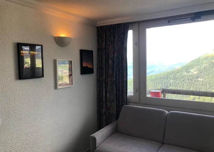 Divisible Pour 4 Pers. - Acces Direct Aux Pistes - Fr-1-181-2714 Apartment La Plagne